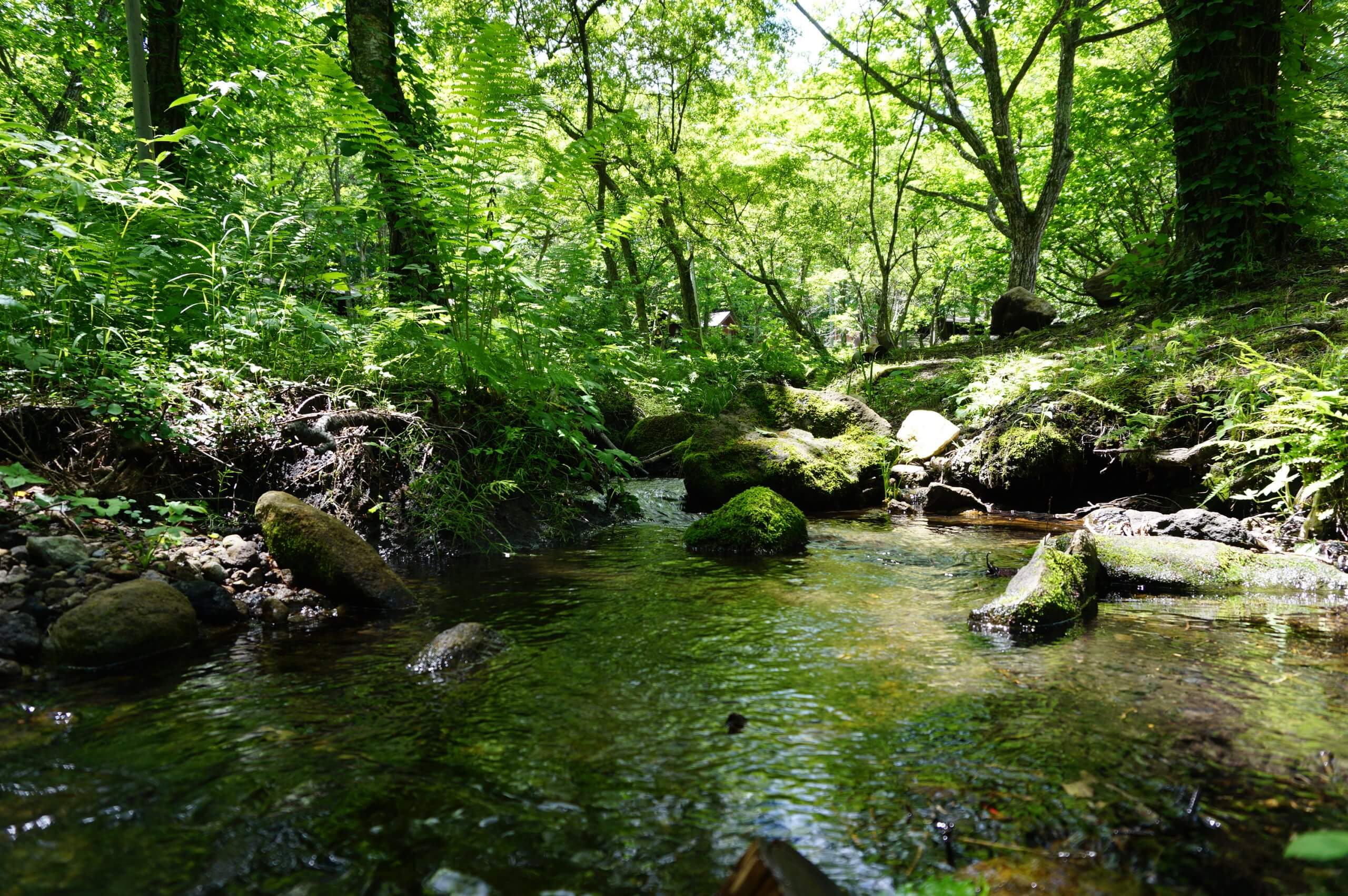 小川が流れるキャンプ場