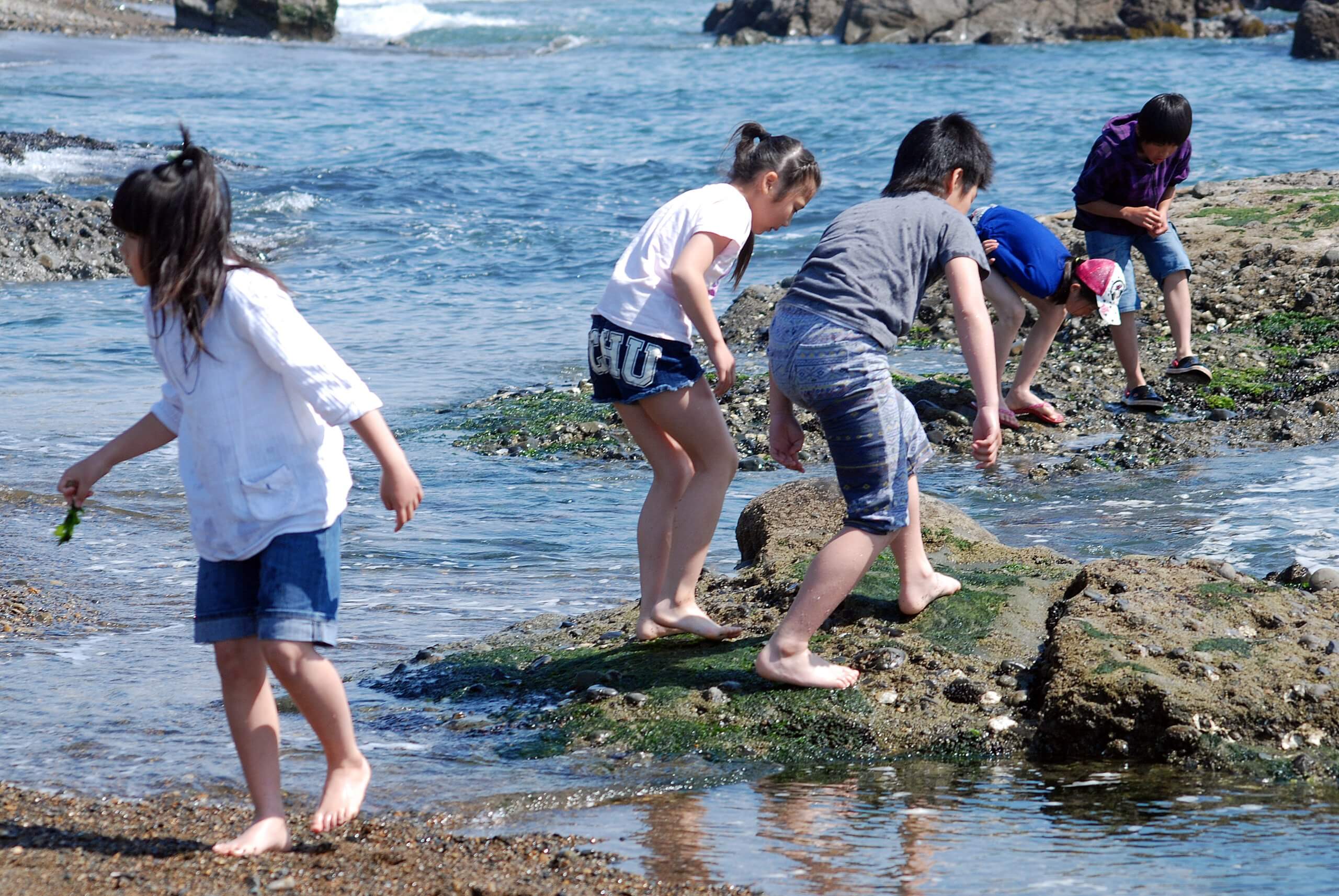 キャンプ場から遊べる海