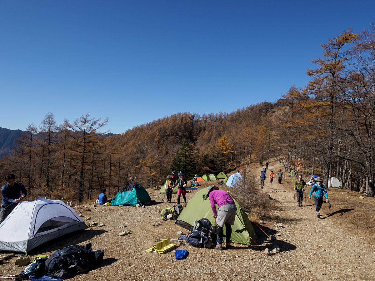 2017年秋の奥多摩古屋テント場の写真。色づき始めた木々の間にたくさんのテントが張られ、山歩きを楽しむ人々で賑わっている。