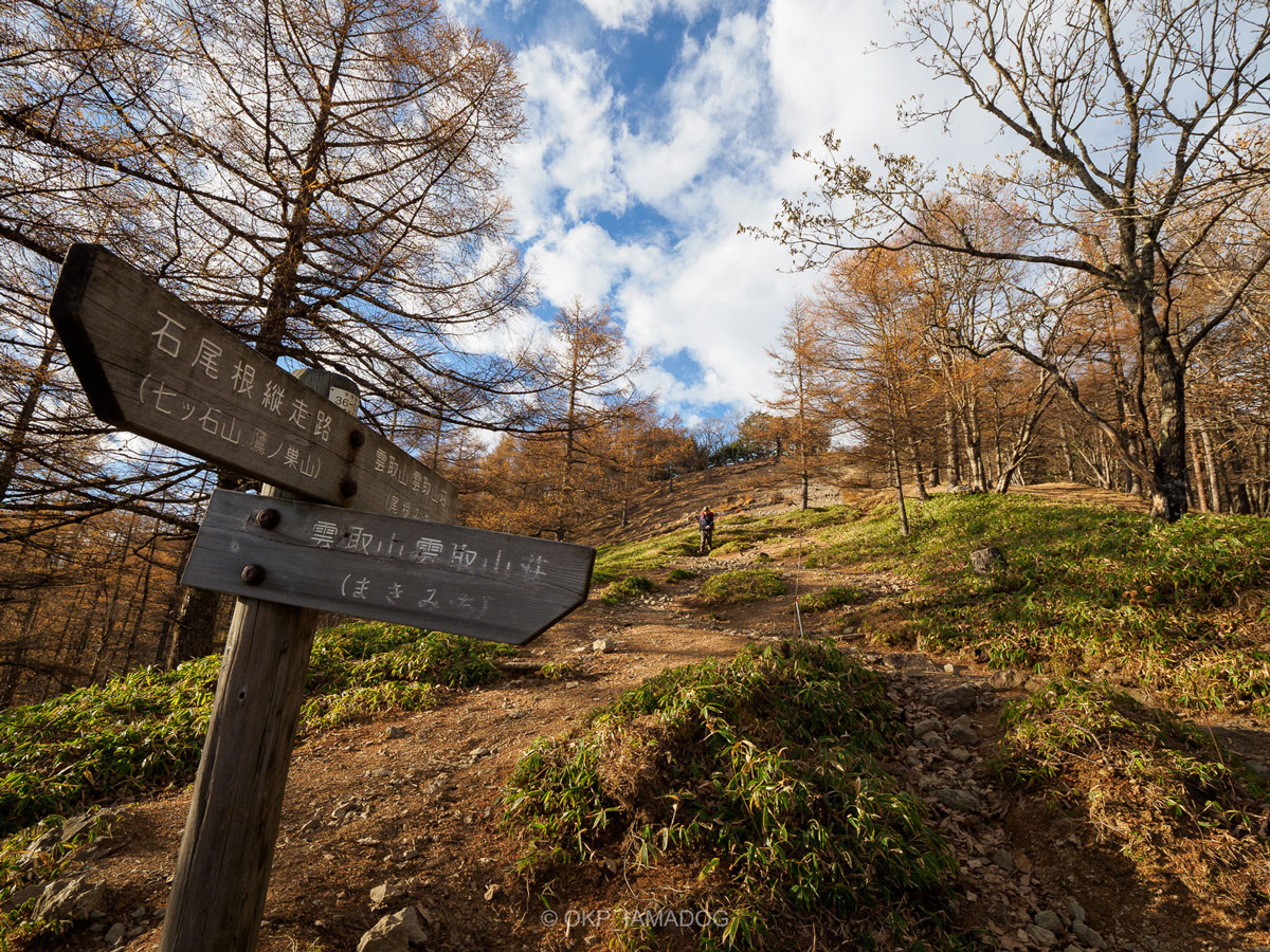 秋の登山道に立つ道標の写真。石尾根山縦走路と雲取山雲取山荘の方向を示している。