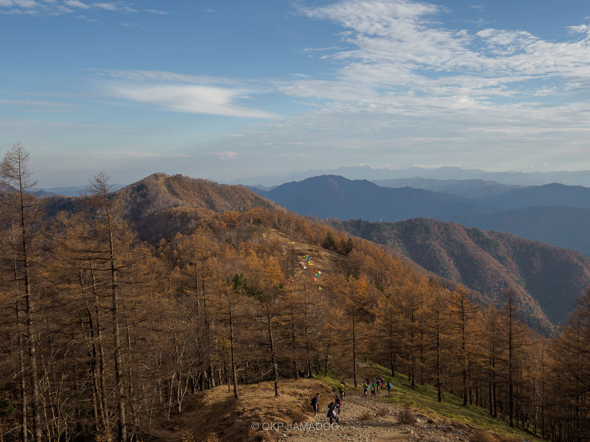 秋の雲取山の開けた尾根道の写真。