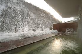 雪に覆われた森を背景に、屋根のある露天風呂から湯気が立ち上っている。