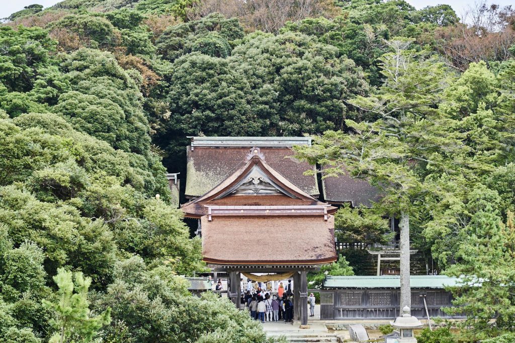 緑豊かな森の中にある神社の門。