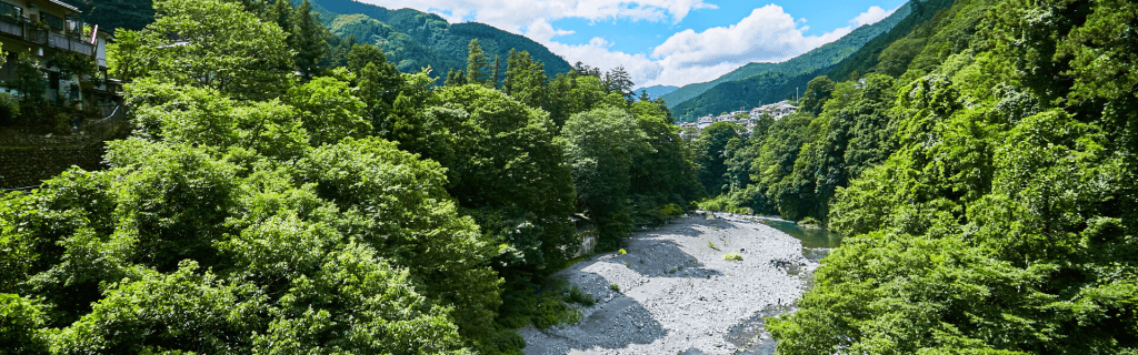 渓谷の川。奥には住宅街が見え、手前には木々や岩場がある。