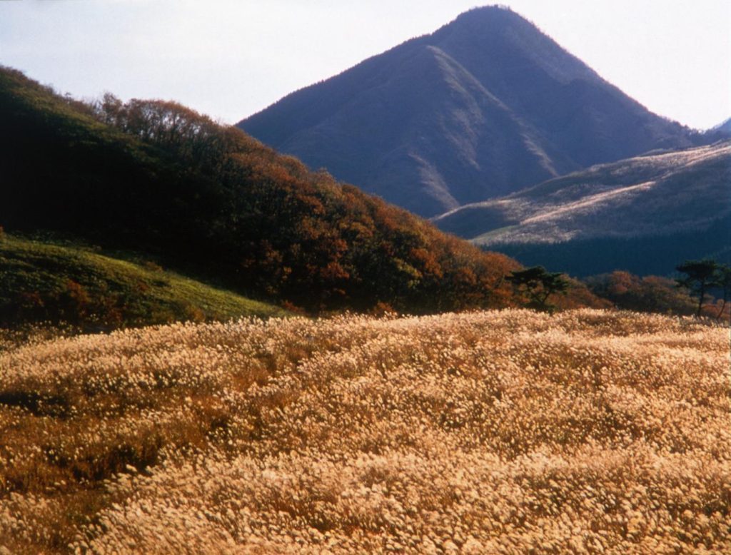 茶色い草が広がる草原。奥には紅葉した木々と、高くそびえる山が見える。