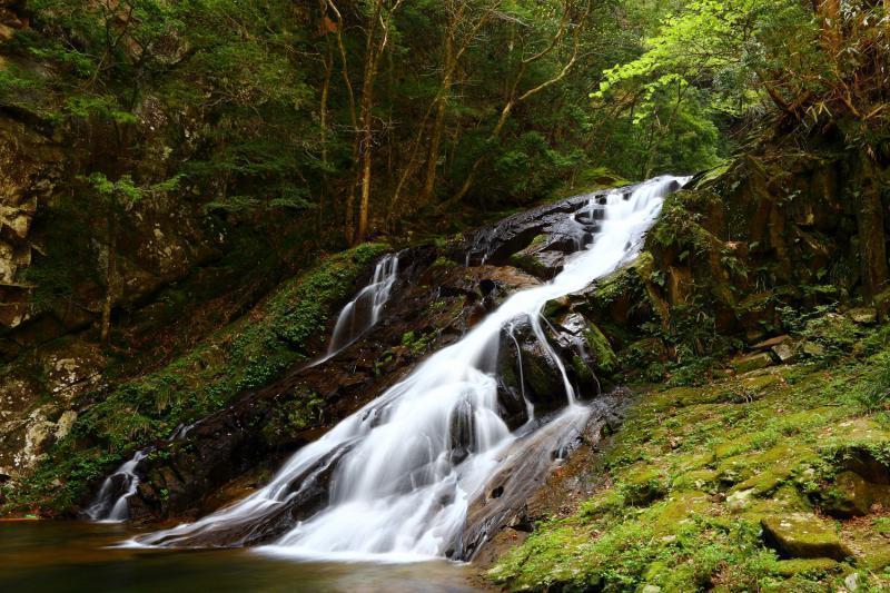 緑の木々に囲まれた岩肌を、白い滝が流れ落ちている。