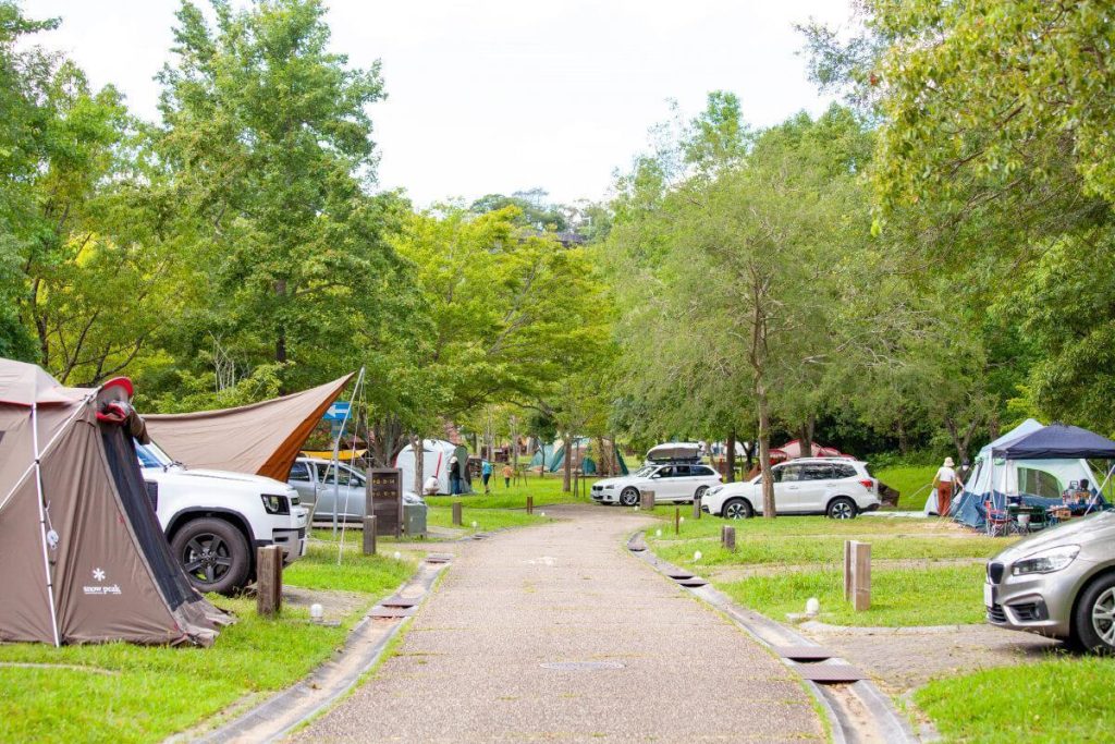 木々に囲まれたキャンプ場。テントと車が並び、舗装された道が続いている。