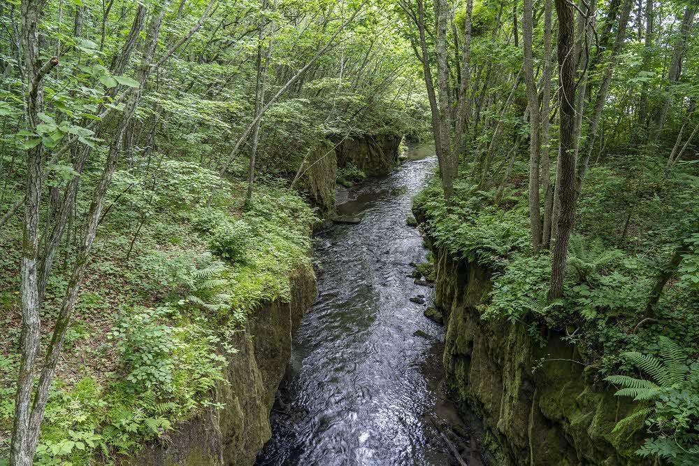 緑の木々に囲まれた渓谷を、川が流れている。