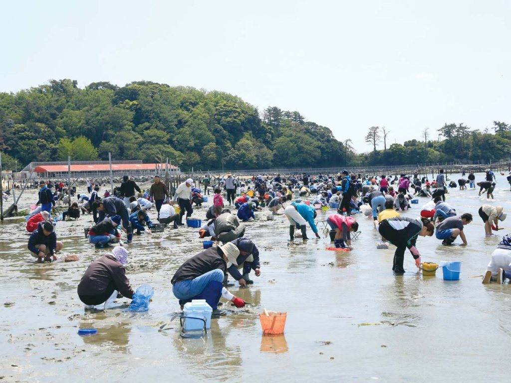 大勢の人々が潮干狩りを楽しんでいる。