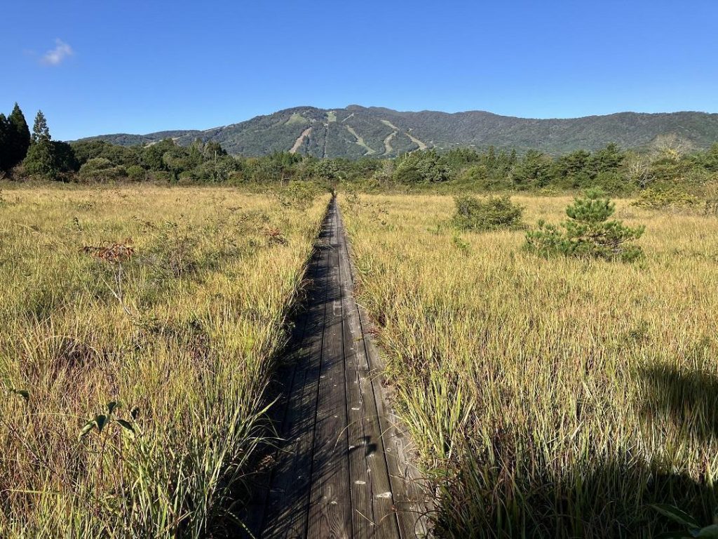 枯れ草が生い茂る湿地帯をまっすぐ続く木道。奥には山が見える。
