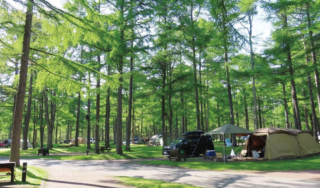 緑豊かな木々に囲まれた林間のキャンプ場。テントと車が設営されている。
