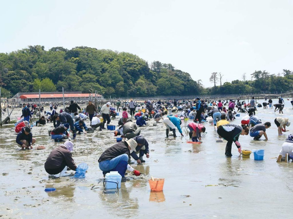 大勢の人々が潮干狩りを楽しんでいる。