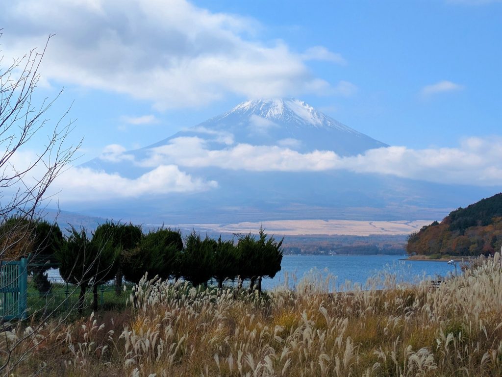 富士山の山頂に雪が残り、雲が山腹にかかっている。手前にはススキのような草と湖が見える。