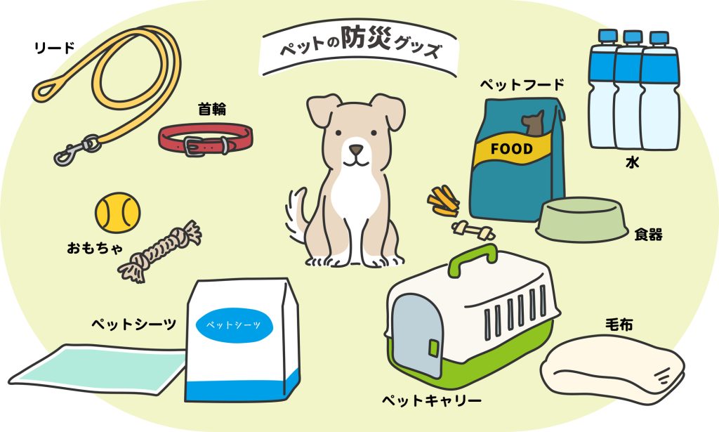 ペットの防災グッズ　イヌ編