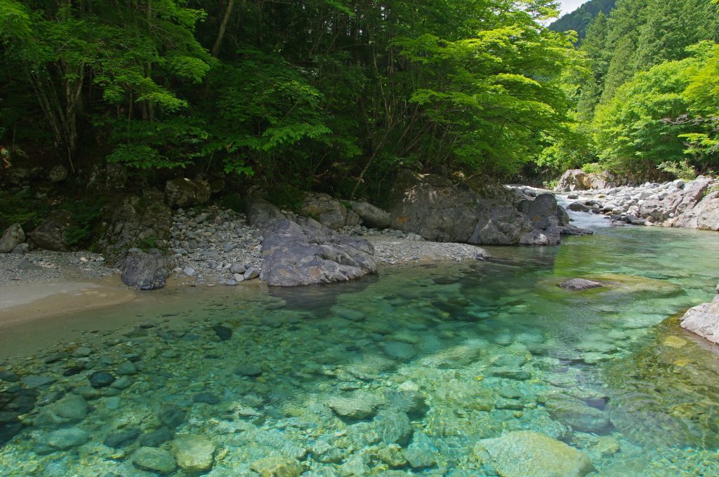青い清流と緑の風景
