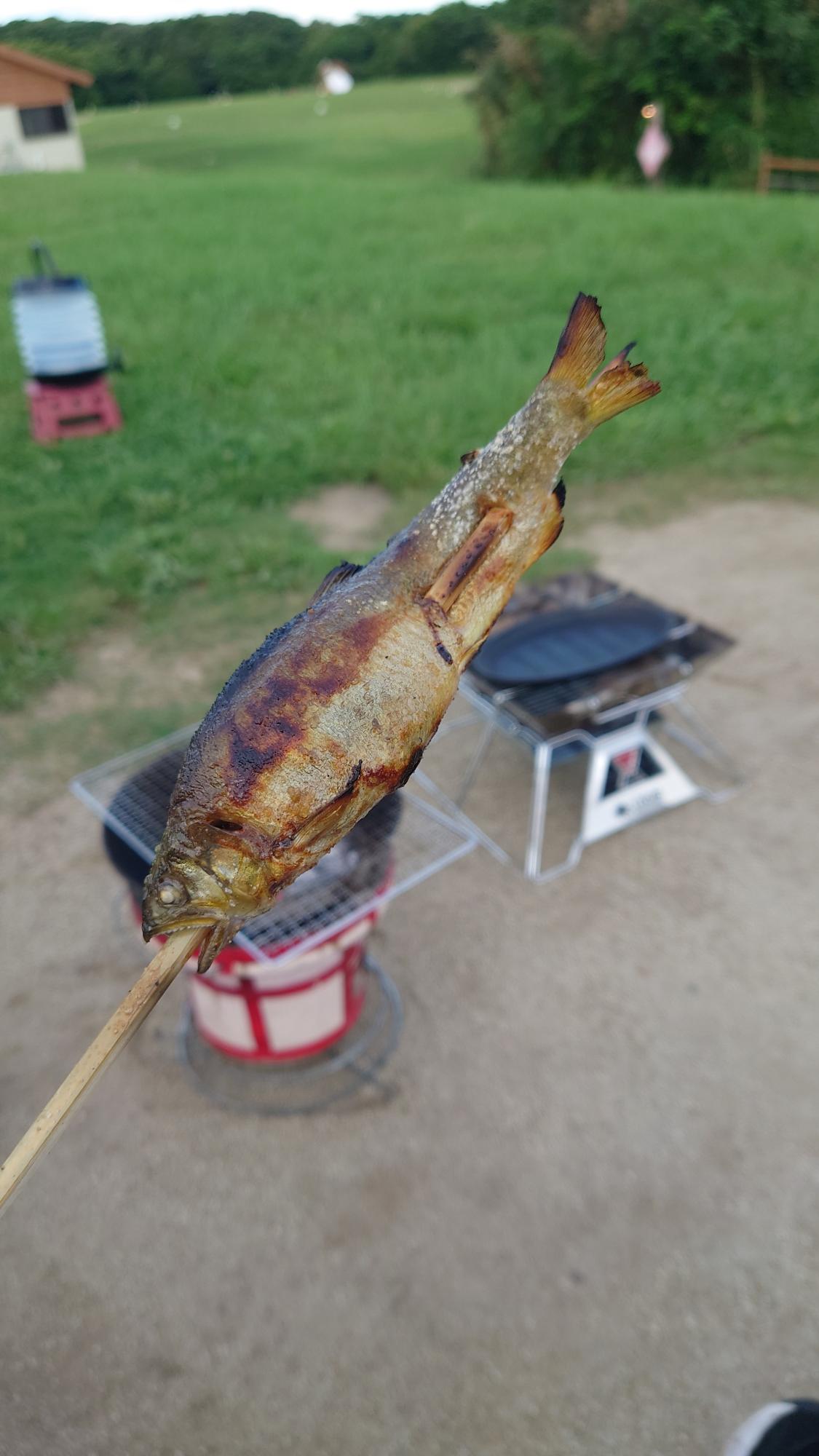 鮎の炭火焼