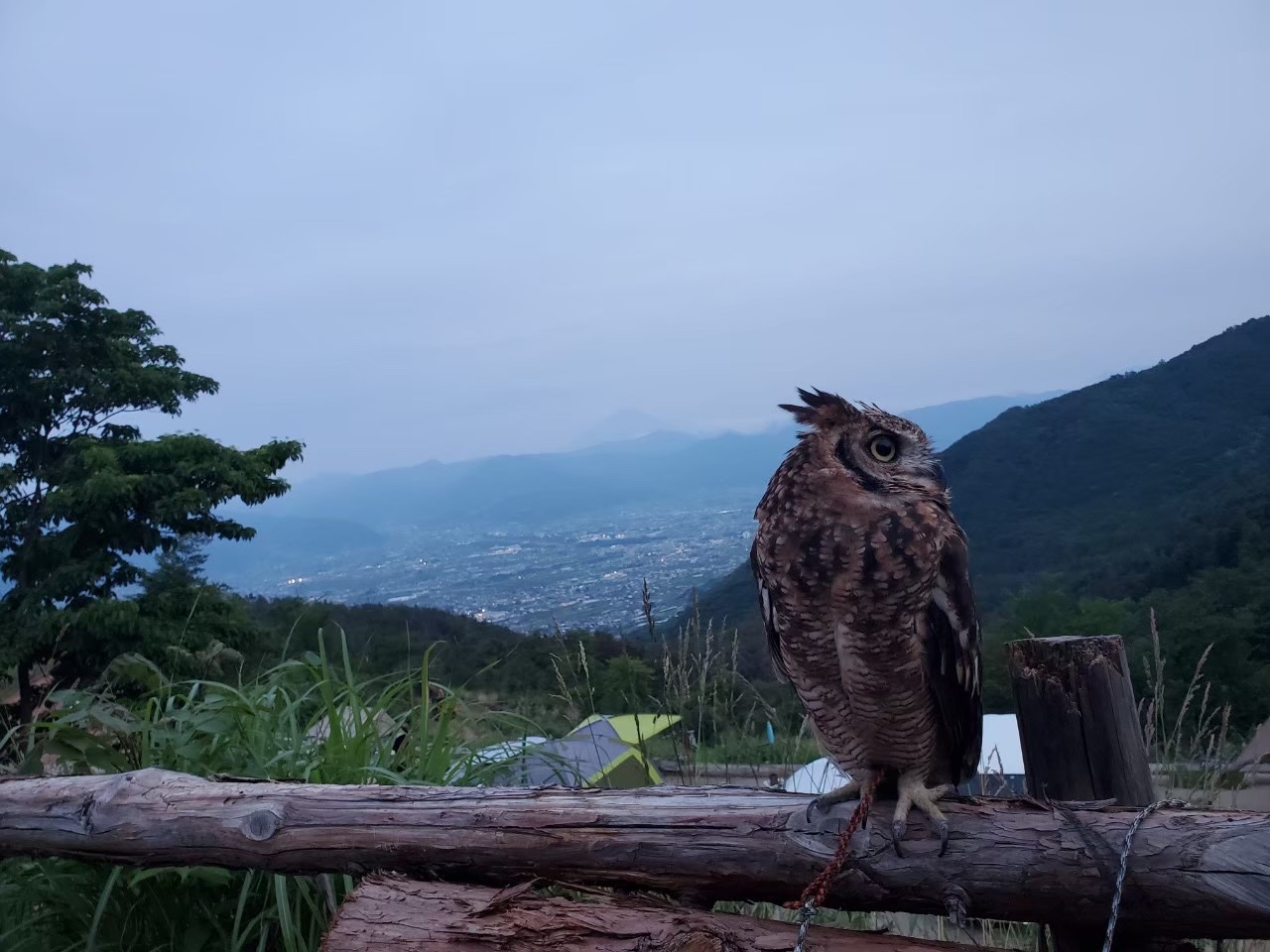 ほったらかし温泉と