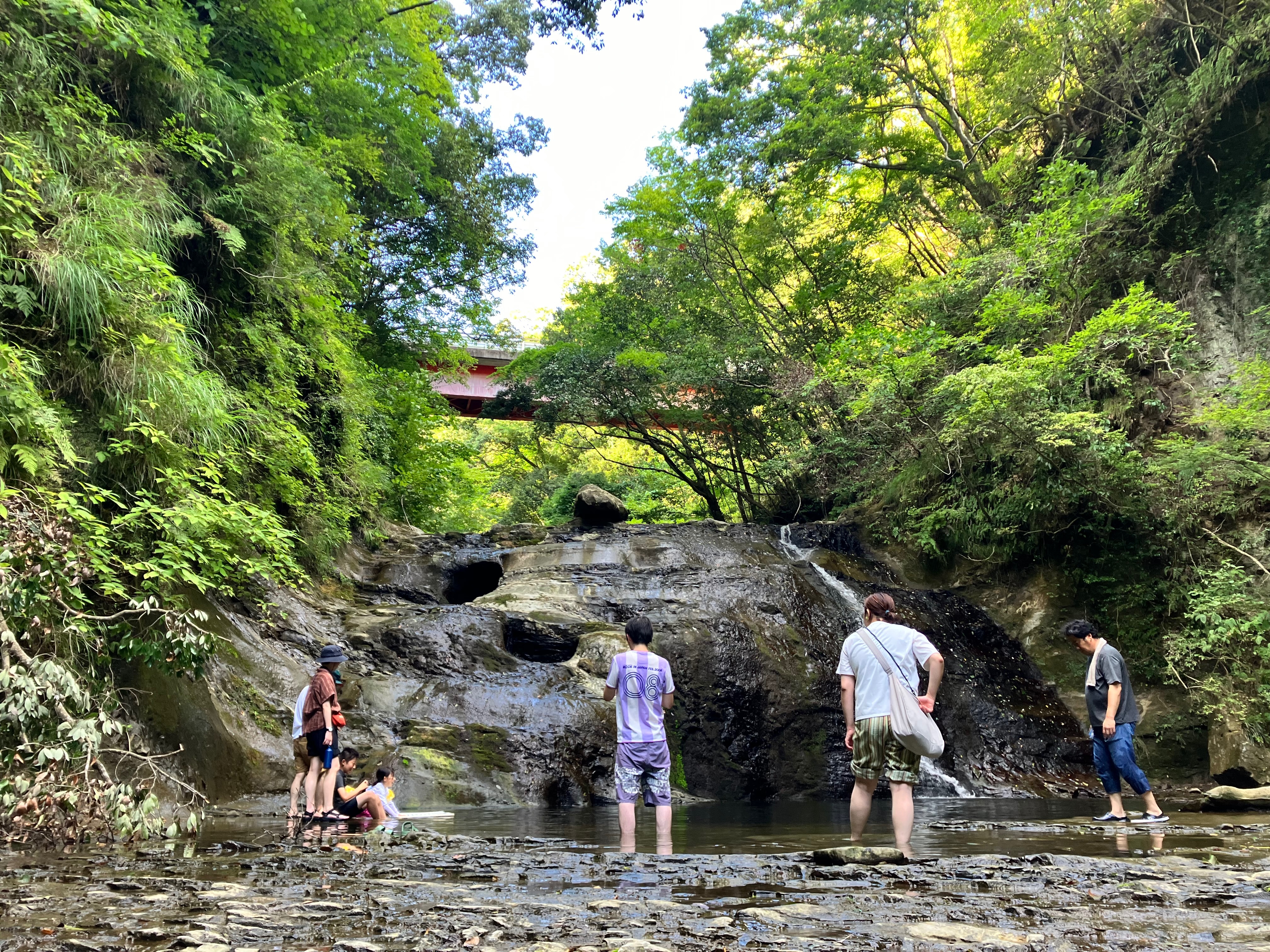 3世代キャンプIN清和県民の森