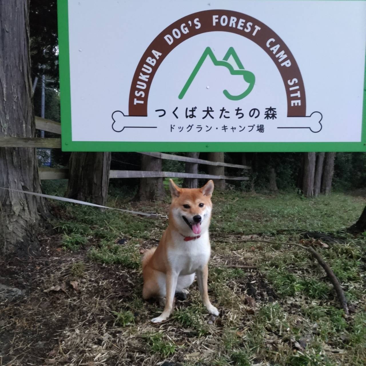 2024.10.18〜19　つくば犬たちの森キャンプ場