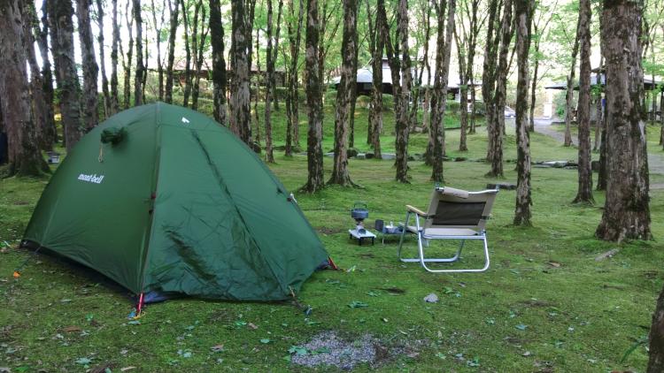静かな森の中でのソロキャン⛺️