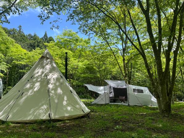 富士の麓で新緑キャンプ　地元の食材を堪能