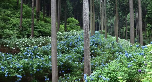 スポットの画像