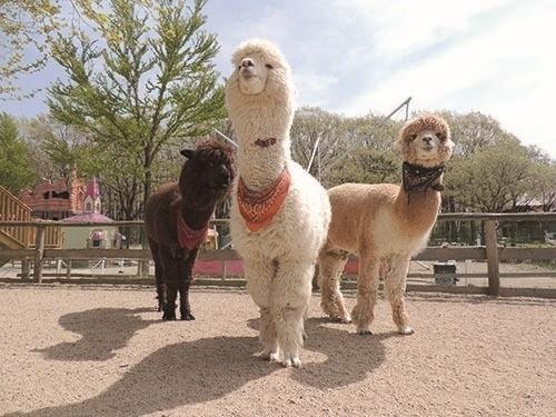 スポットの画像