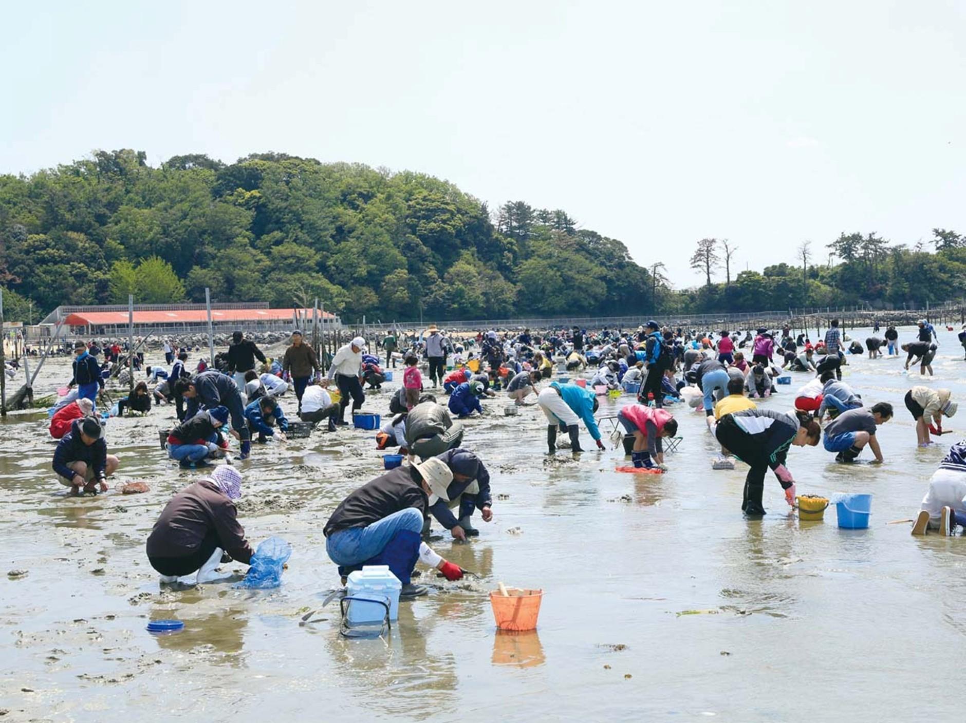 スポットの画像