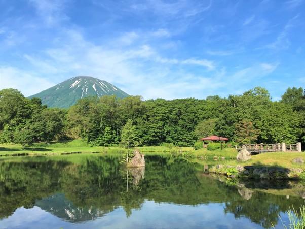 スポットの画像
