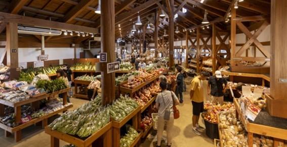 スポットの画像