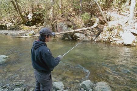 スポットの画像
