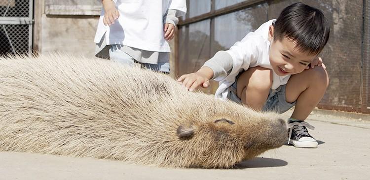 スポットの画像