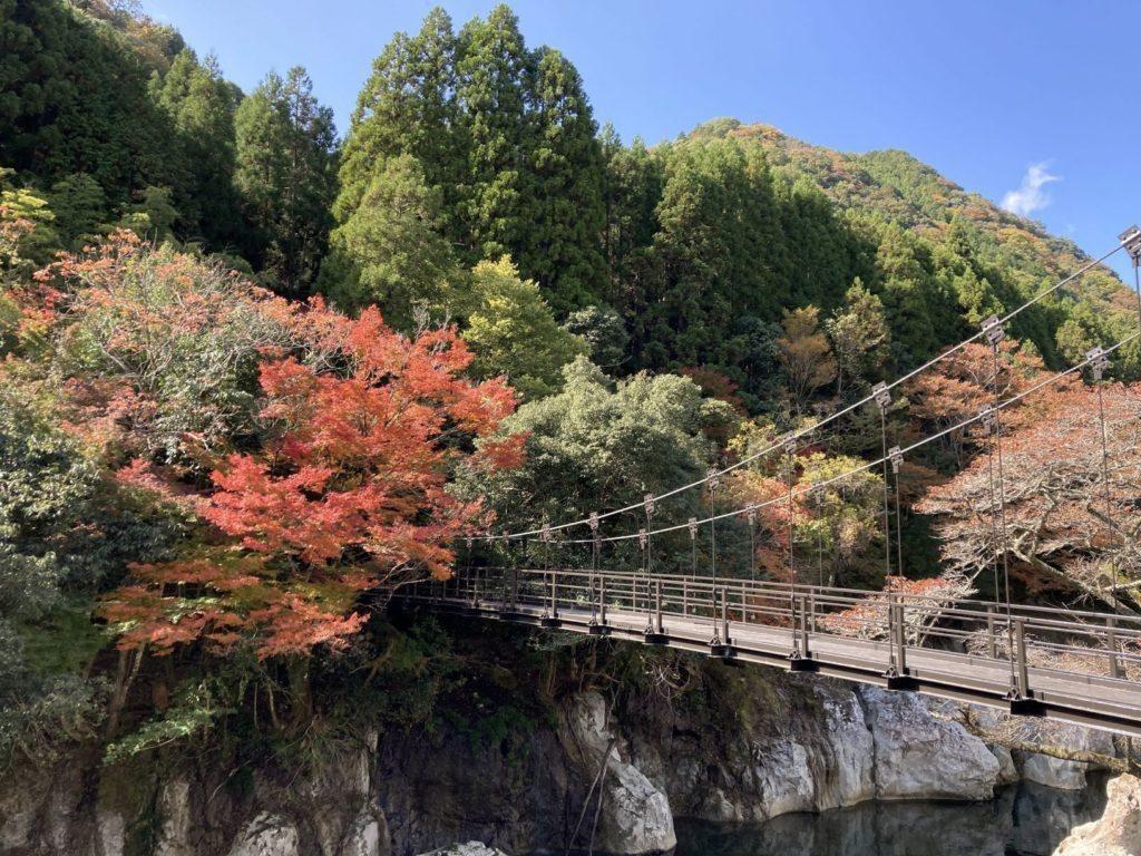 スポットの画像