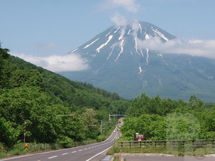 スポットの画像