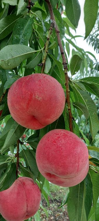 スポットの画像