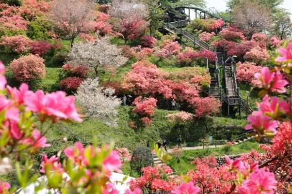 スポットの画像