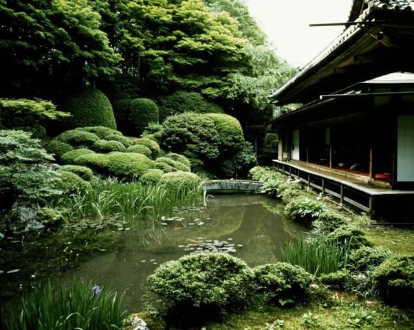 スポットの画像