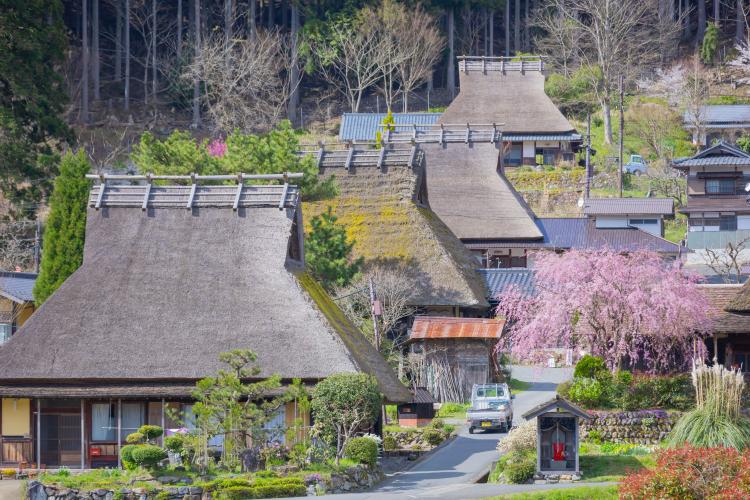 スポットの画像