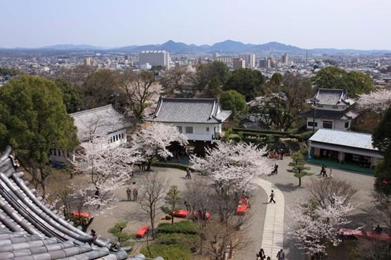 スポットの画像