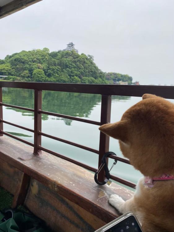 スポットの画像