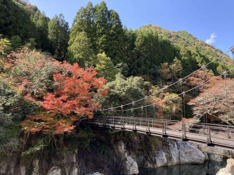 スポットの画像