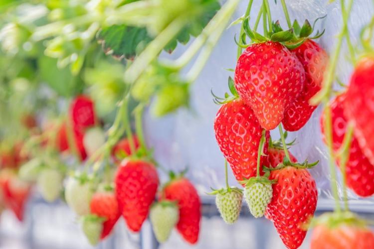 スポットの画像