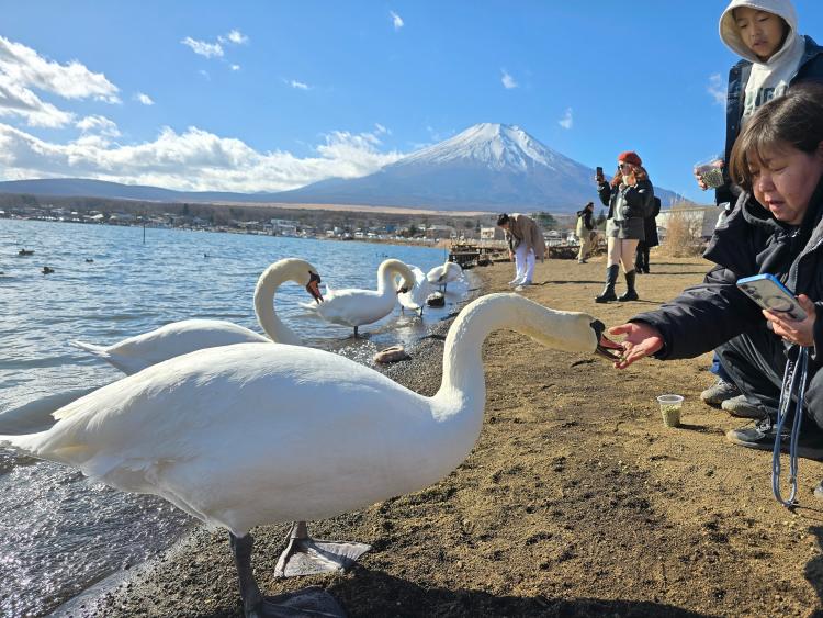 スポットの画像