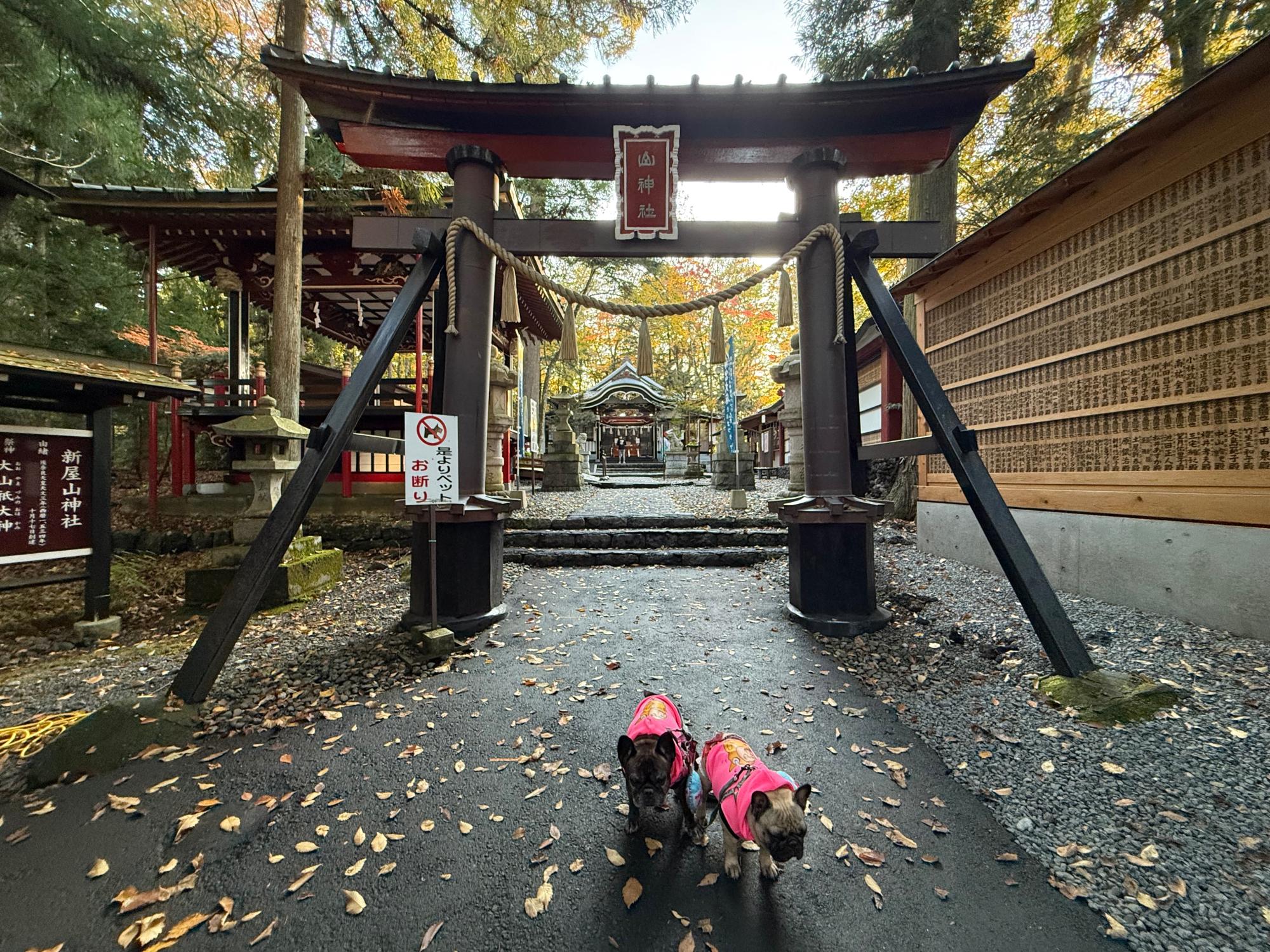 スポットの画像
