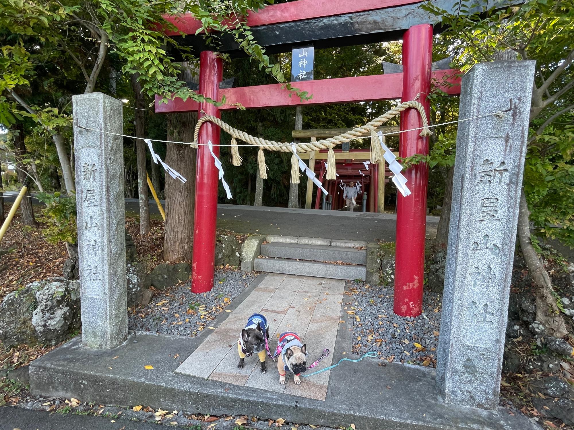 スポットの画像