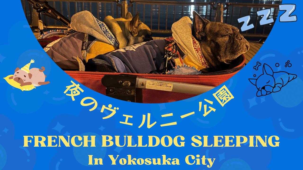 スポットの画像