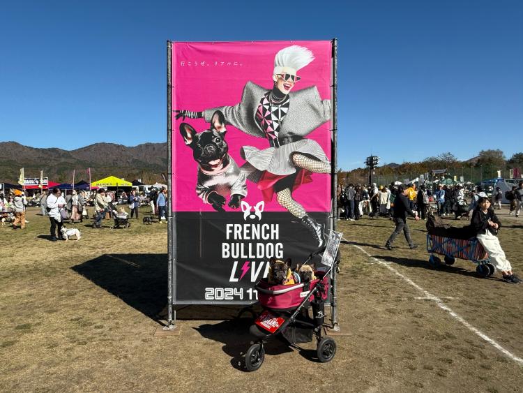 スポットの画像