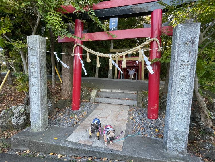 スポットの画像