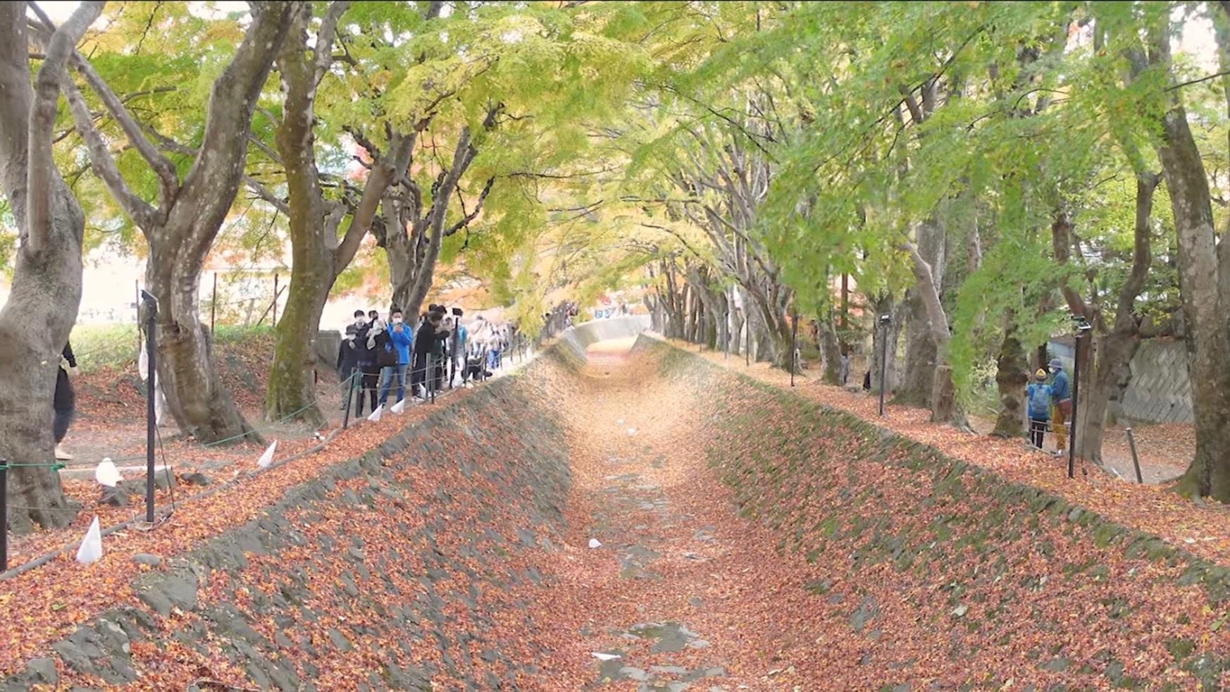スポットの画像