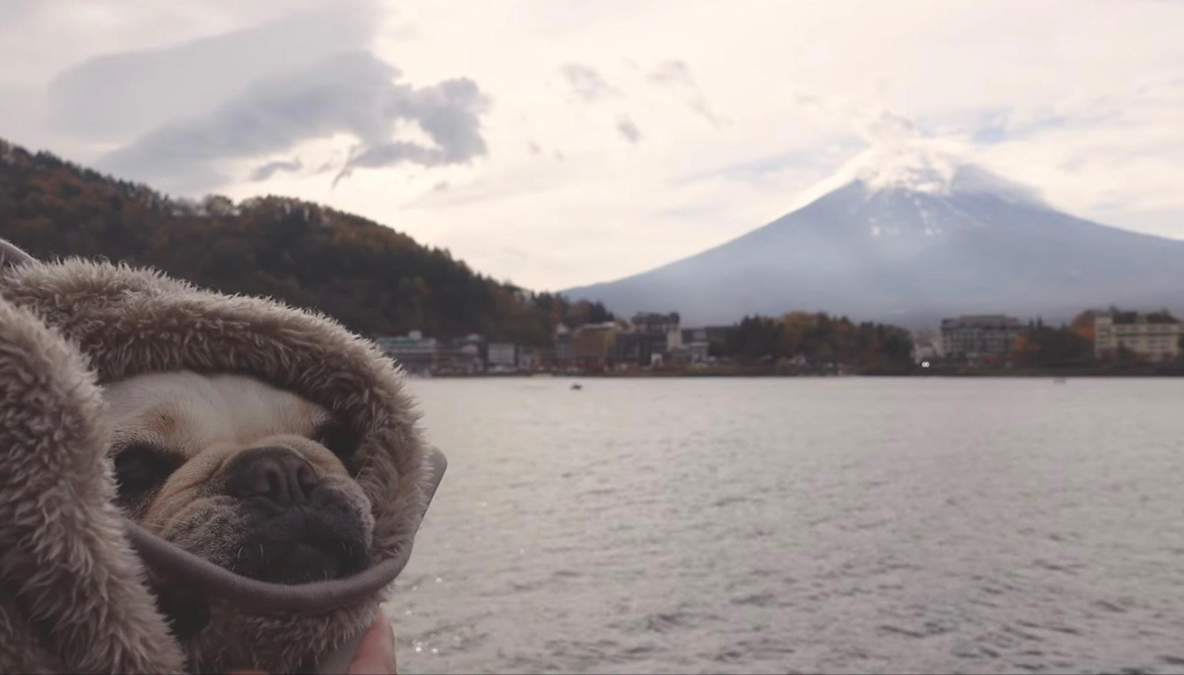 スポットの画像